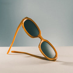 Astra Brown Frame Polarized Sunglasses with geometric Style Online | ZEELOOL